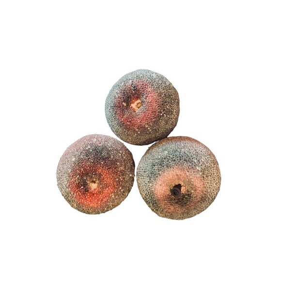 Vintage Beaded Sparkly Apple Kitschy Decor Set of 3  3.5" - Picture 6 of 7